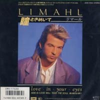 Love In Your Eyes